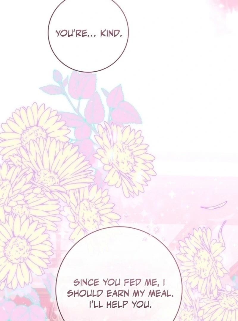 Read This Marriage Will Surely Succeed Manga Online