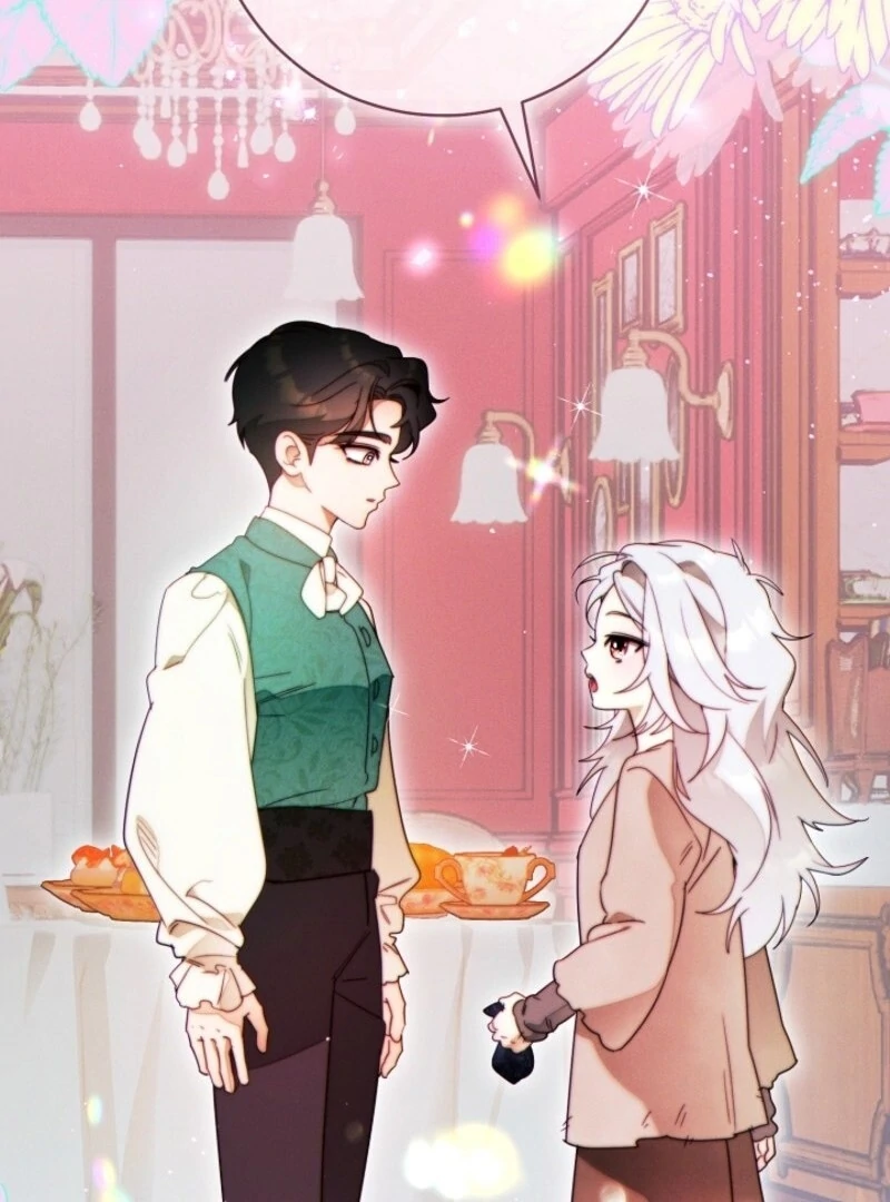 Read This Marriage Will Surely Succeed Manga Online