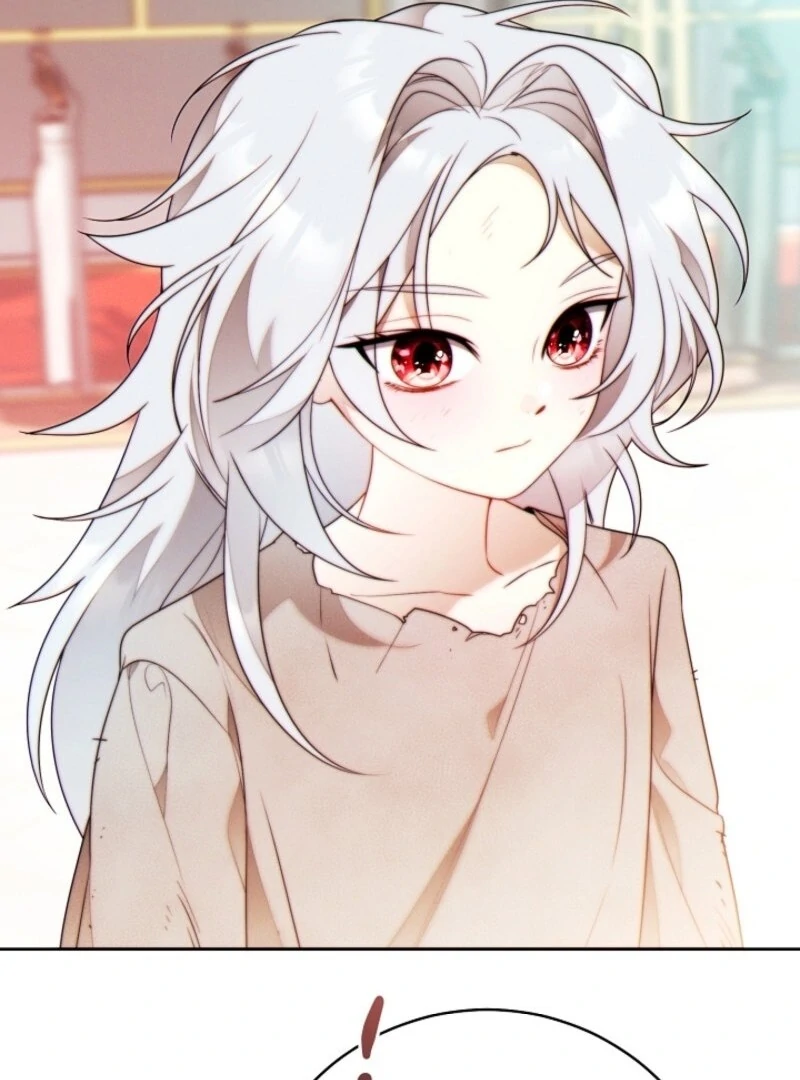 Read This Marriage Will Surely Succeed Manga Online