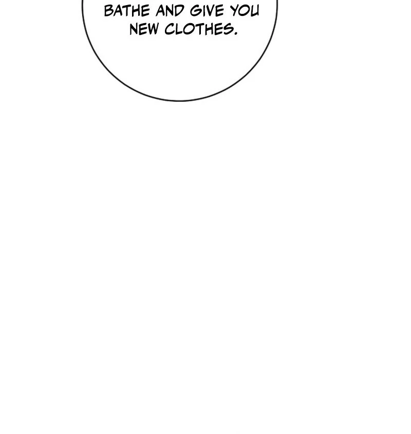 Read This Marriage Will Surely Succeed Manga Online