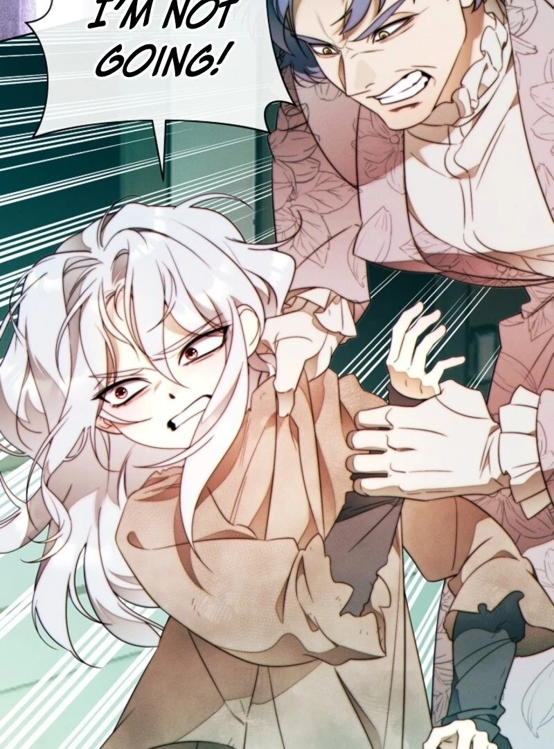 Read This Marriage Will Surely Succeed Manga Online