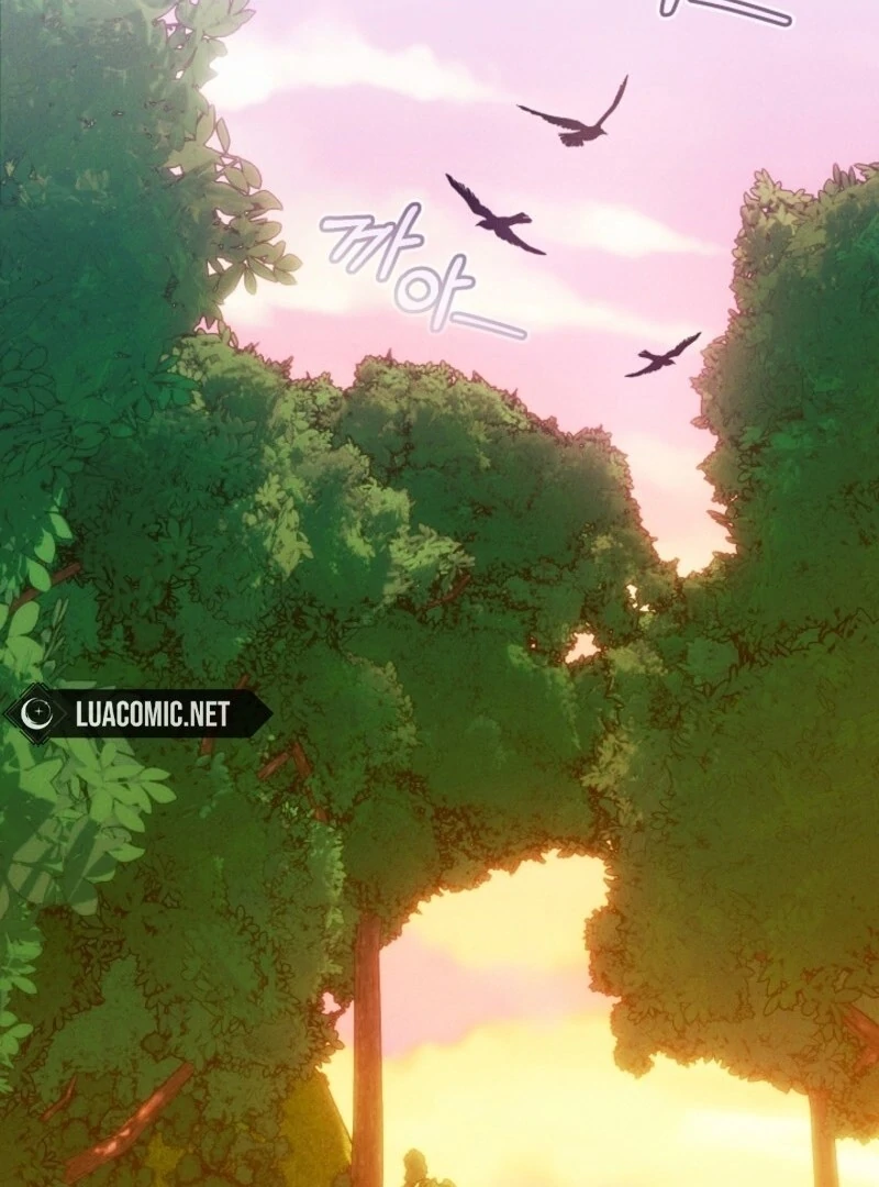 Read This Marriage Will Surely Succeed Manga Online