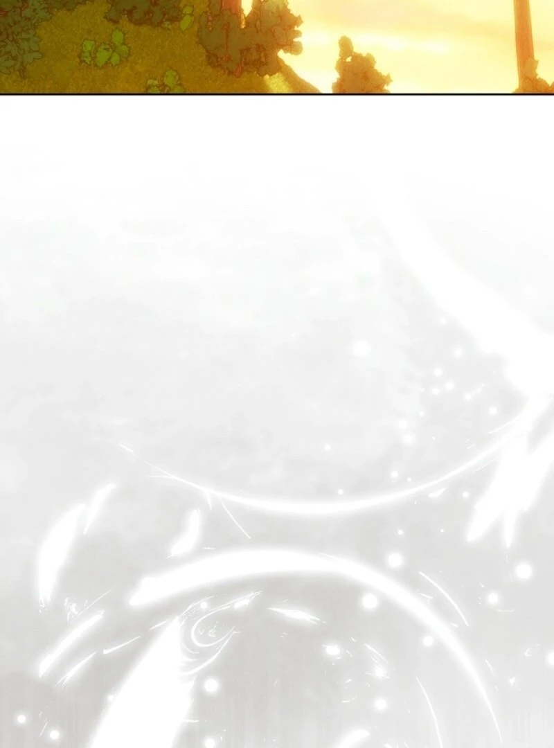 Read This Marriage Will Surely Succeed Manga Online