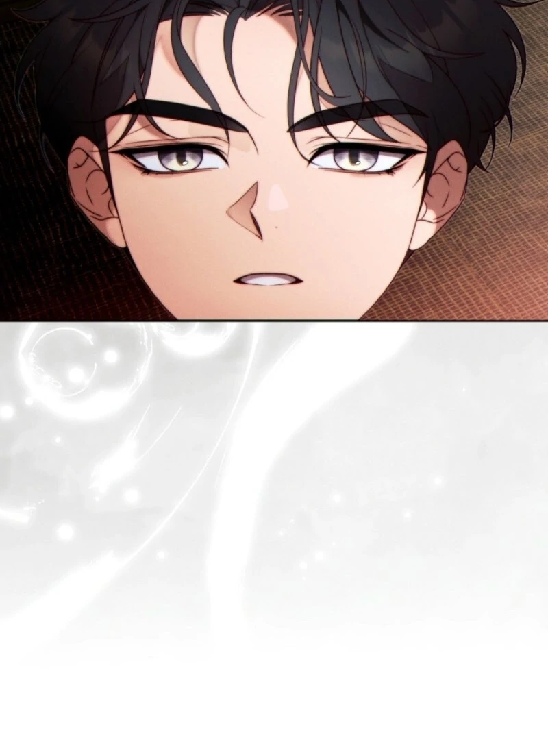 Read This Marriage Will Surely Succeed Manga Online