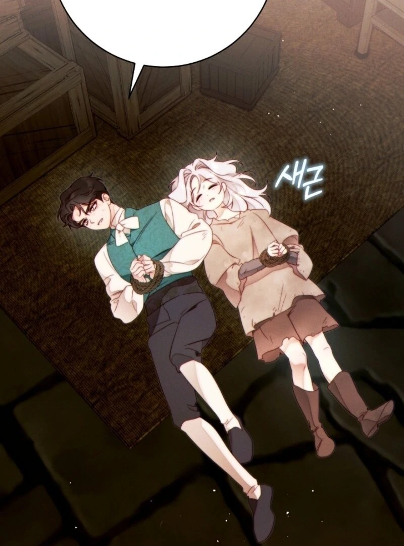 Read This Marriage Will Surely Succeed Manga Online