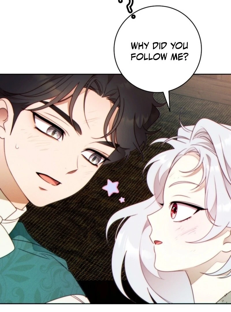 Read This Marriage Will Surely Succeed Manga Online