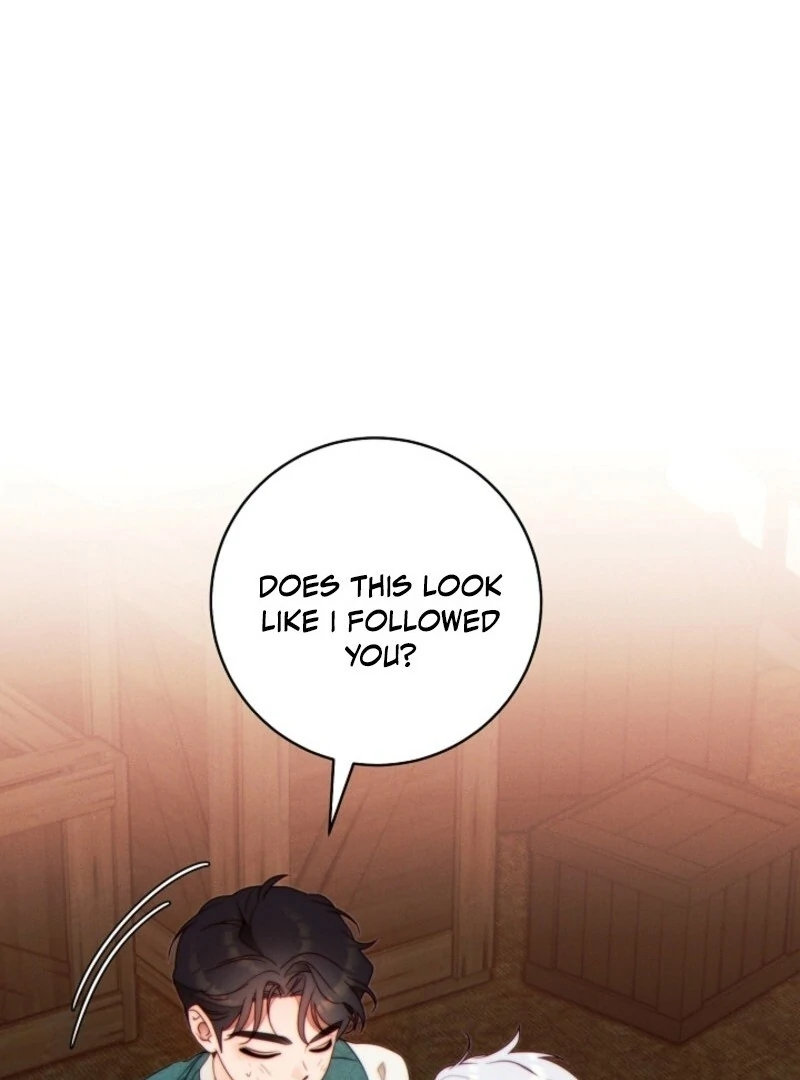 Read This Marriage Will Surely Succeed Manga Online