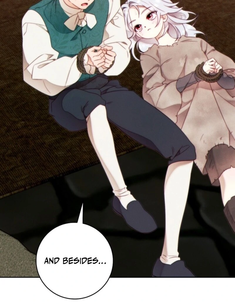 Read This Marriage Will Surely Succeed Manga Online