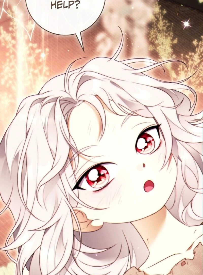 Read This Marriage Will Surely Succeed Manga Online