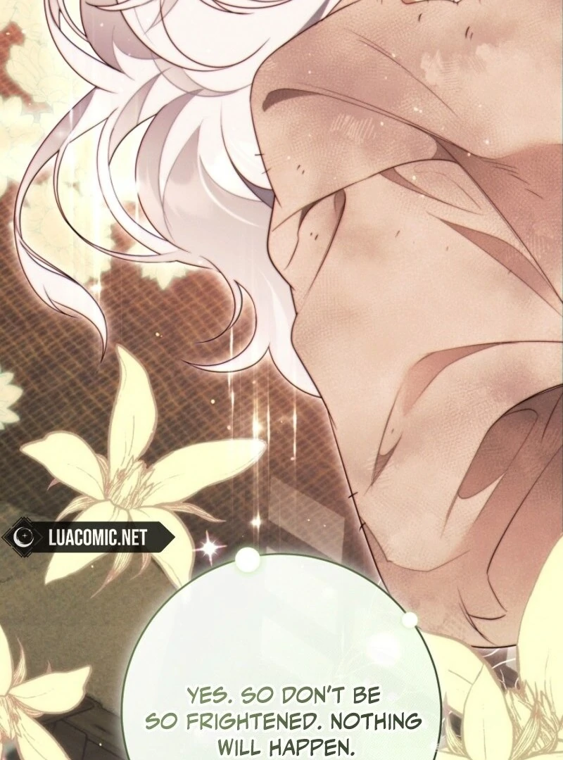 Read This Marriage Will Surely Succeed Manga Online