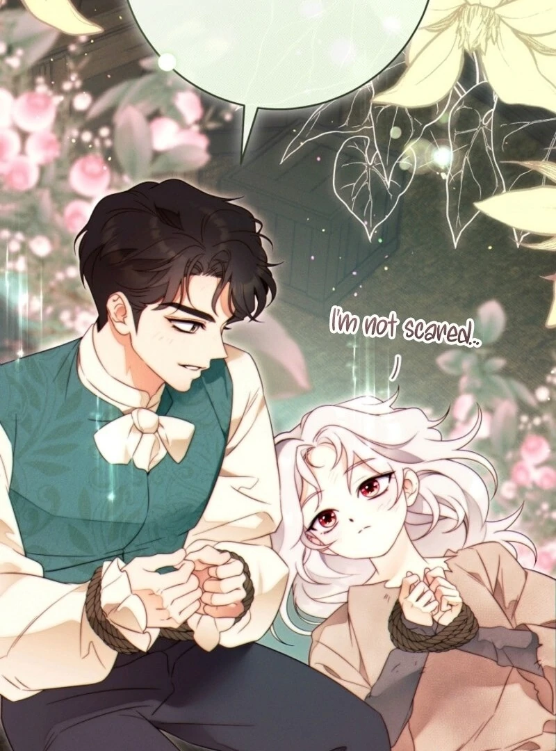 Read This Marriage Will Surely Succeed Manga Online