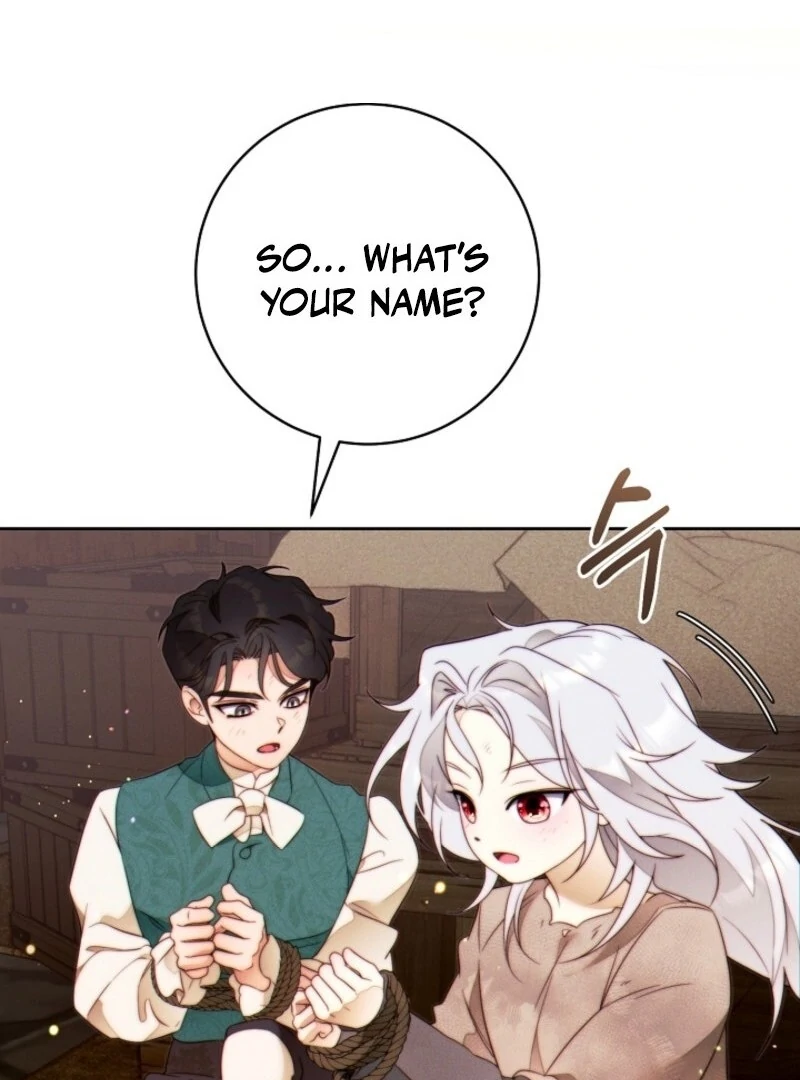 Read This Marriage Will Surely Succeed Manga Online