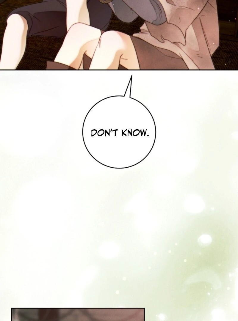 Read This Marriage Will Surely Succeed Manga Online