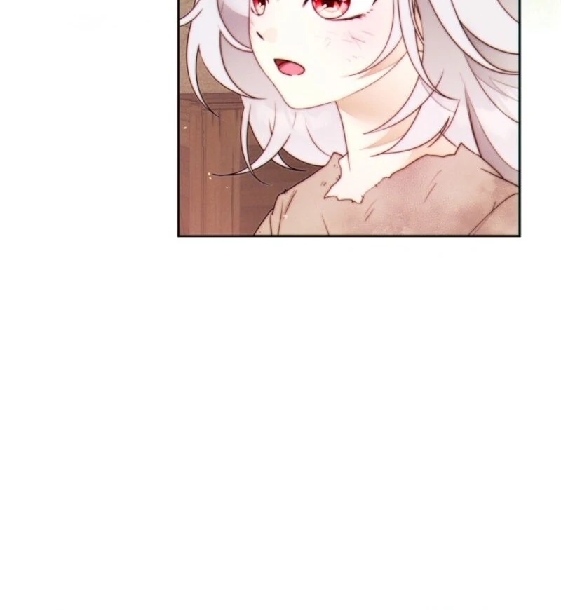 Read This Marriage Will Surely Succeed Manga Online