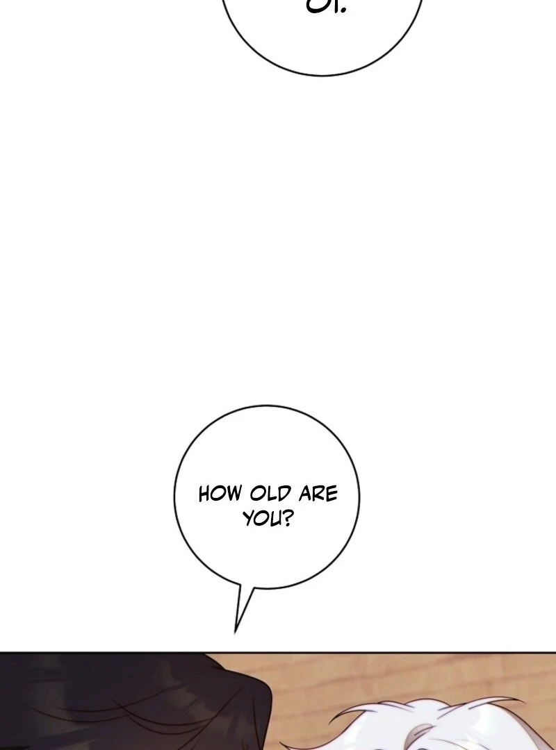 Read This Marriage Will Surely Succeed Manga Online