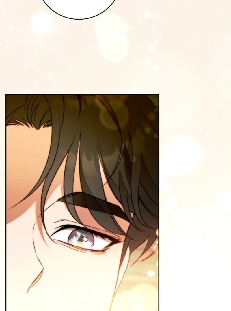 Read This Marriage Will Surely Succeed Manga Online