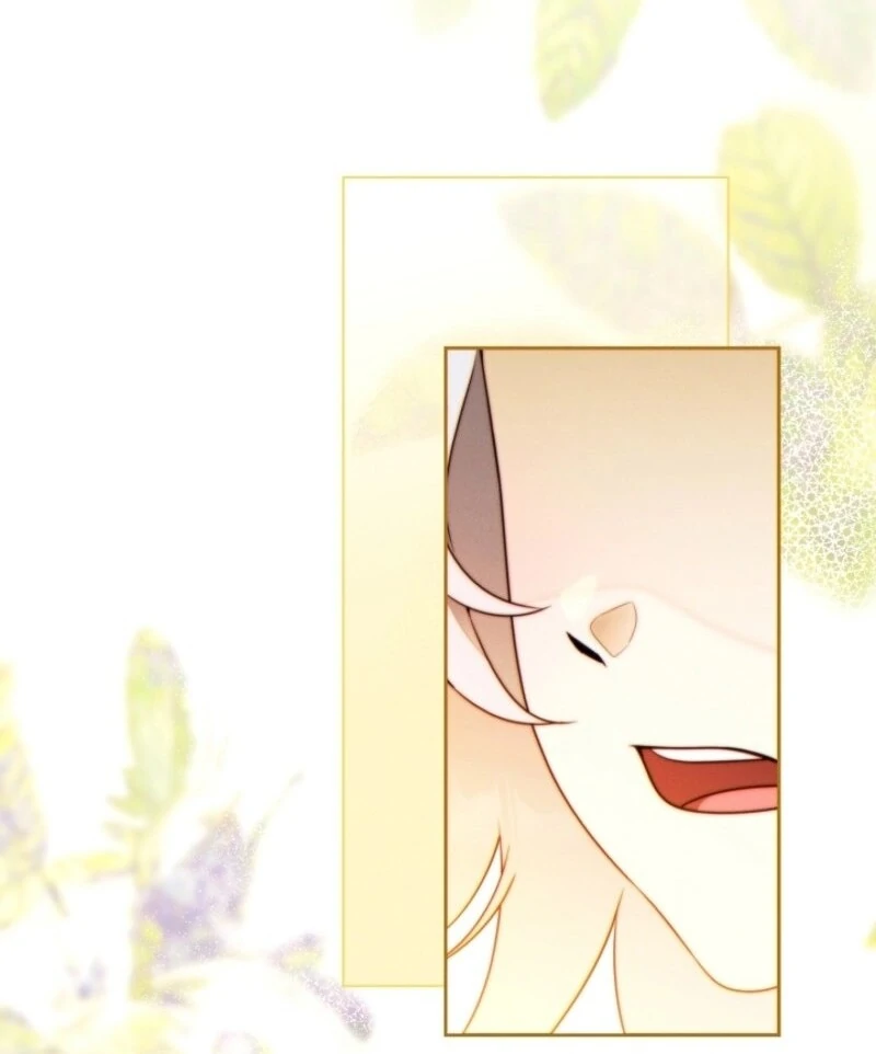 Read This Marriage Will Surely Succeed Manga Online