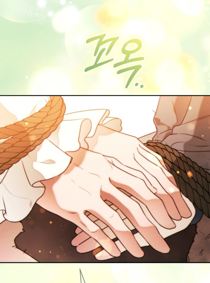 Read This Marriage Will Surely Succeed Manga Online