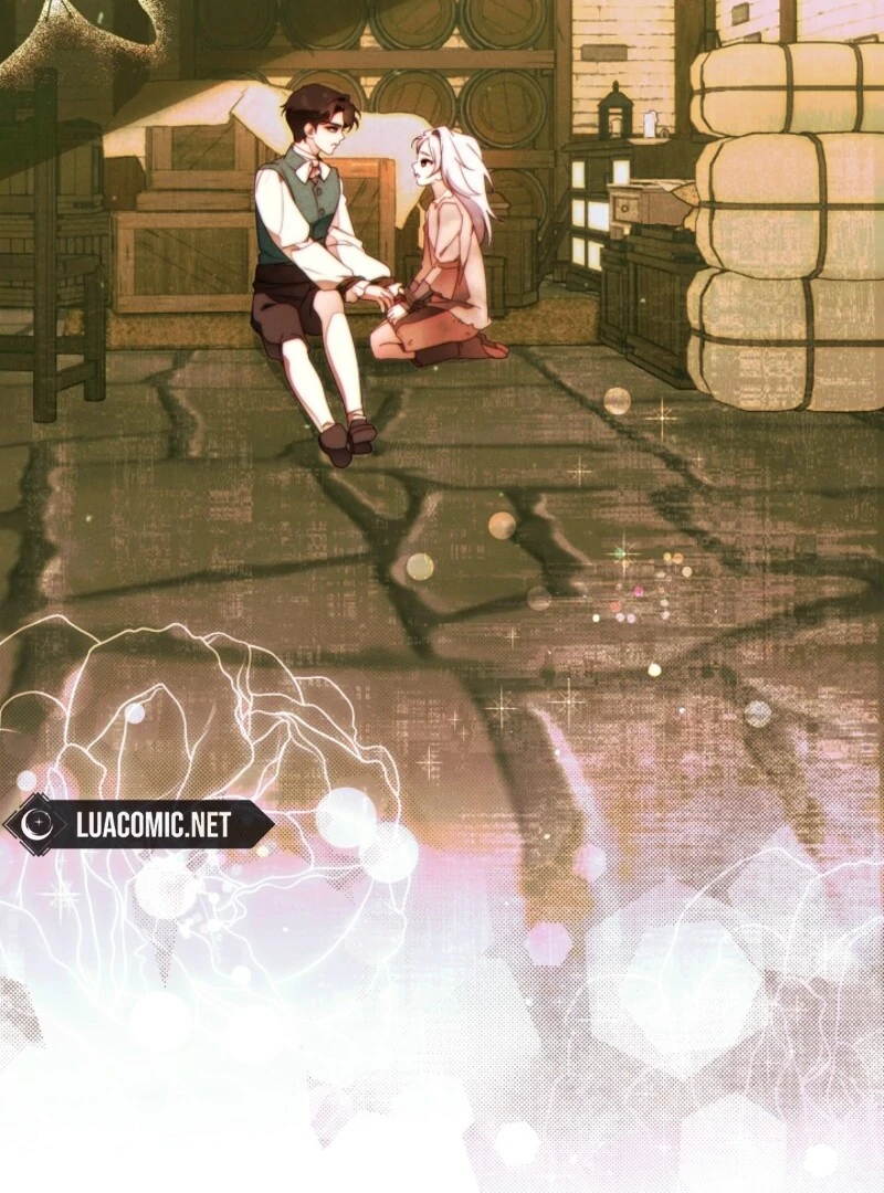 Read This Marriage Will Surely Succeed Manga Online