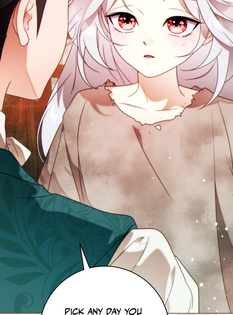 Read This Marriage Will Surely Succeed Manga Online