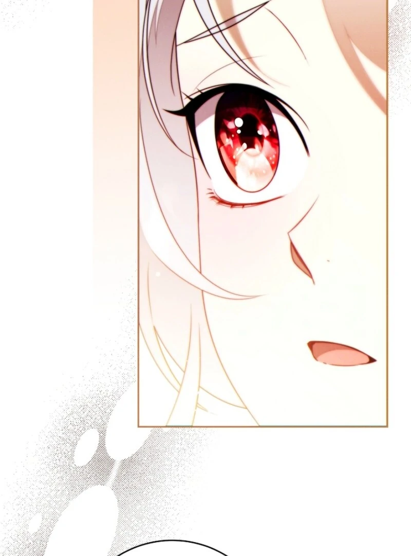 Read This Marriage Will Surely Succeed Manga Online