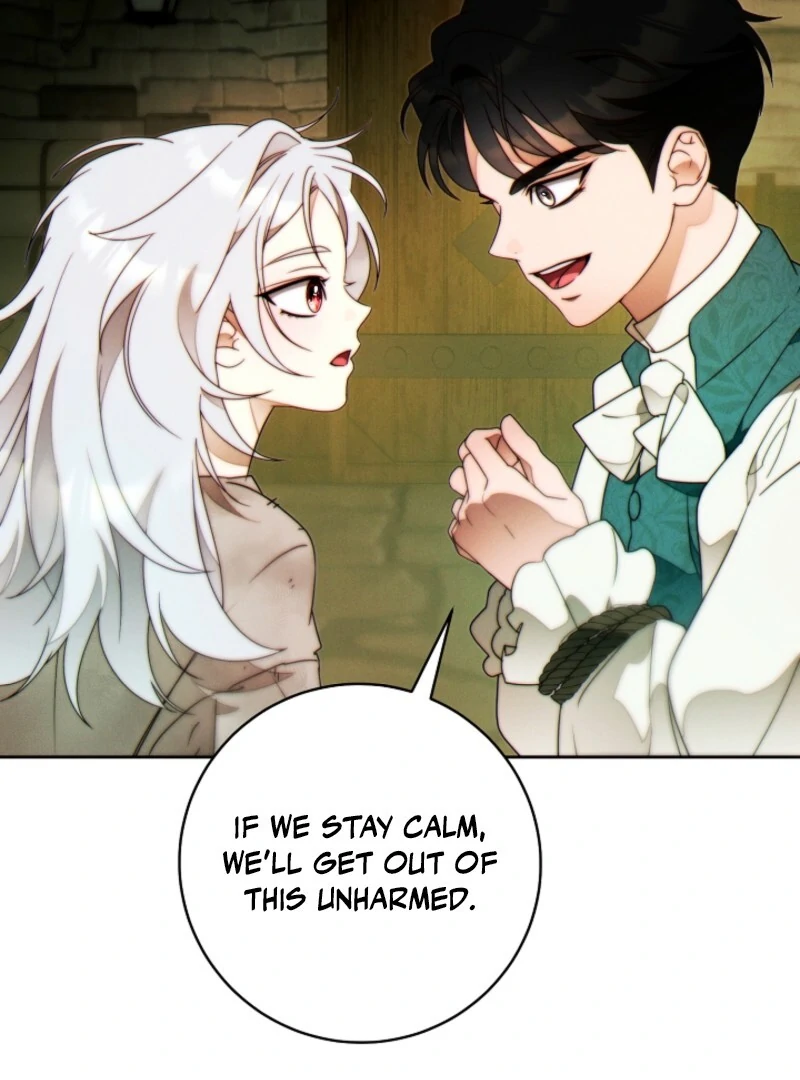 Read This Marriage Will Surely Succeed Manga Online