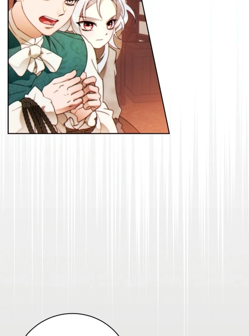 Read This Marriage Will Surely Succeed Manga Online