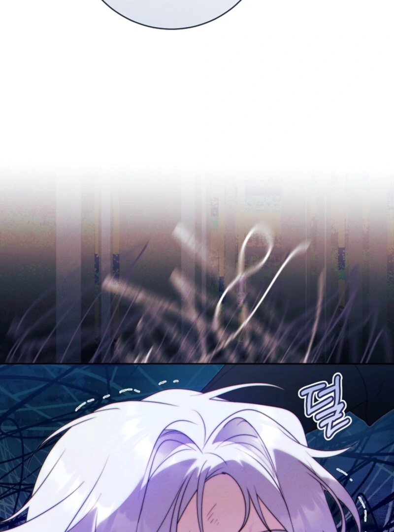 Read This Marriage Will Surely Succeed Manga Online