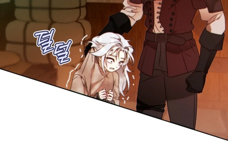 Read This Marriage Will Surely Succeed Manga Online