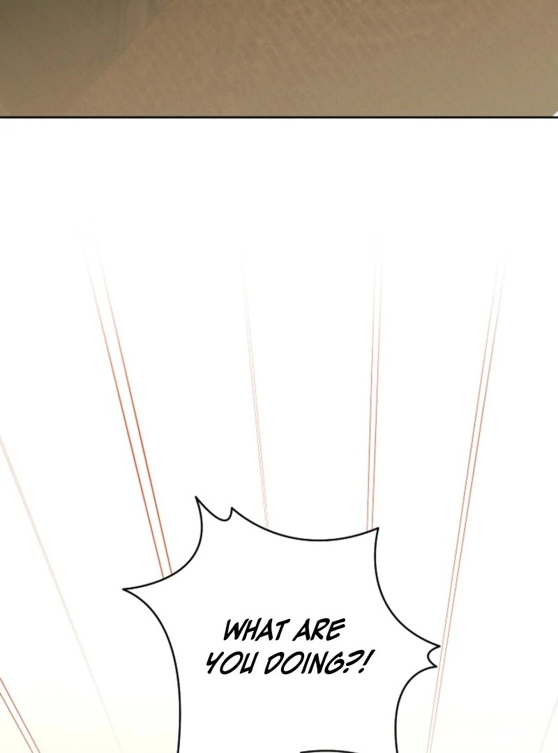 Read This Marriage Will Surely Succeed Manga Online