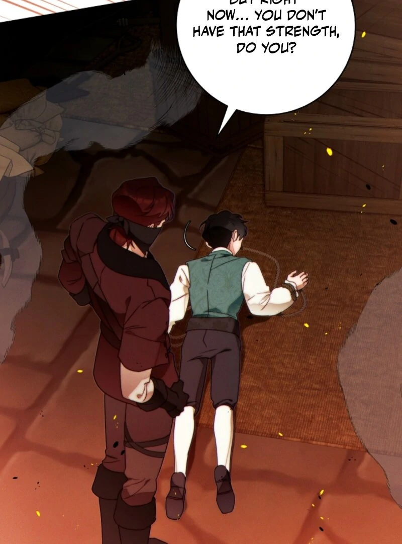 Read This Marriage Will Surely Succeed Manga Online