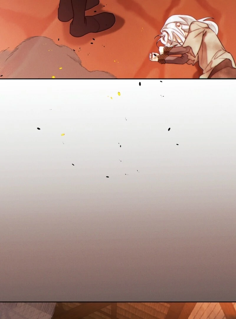 Read This Marriage Will Surely Succeed Manga Online