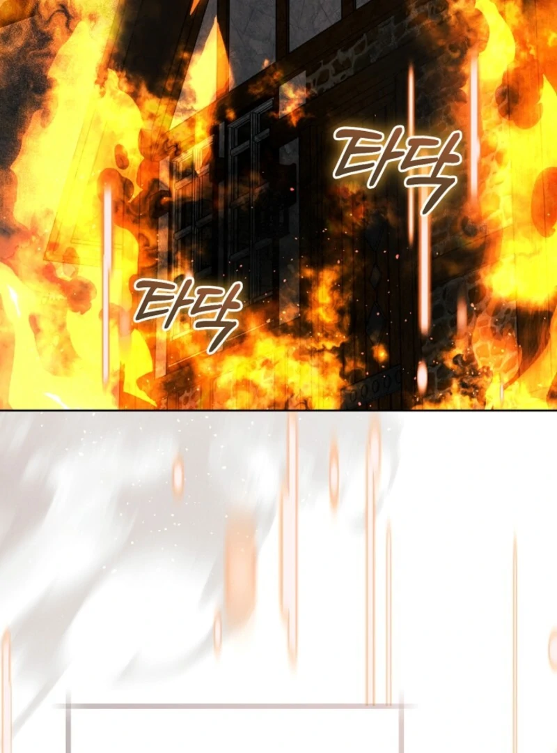 Read This Marriage Will Surely Succeed Manga Online