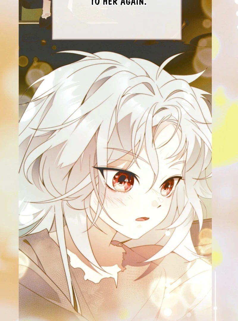 Read This Marriage Will Surely Succeed Manga Online