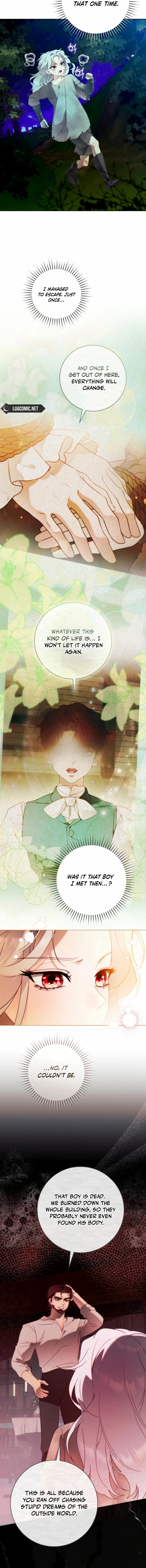 Read This Marriage Will Surely Succeed Manga Online