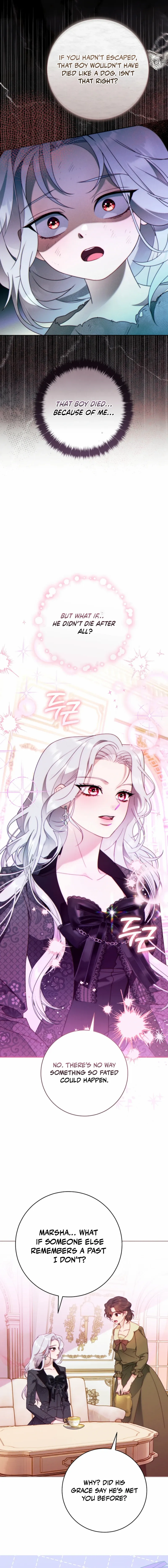 Read This Marriage Will Surely Succeed Manga Online