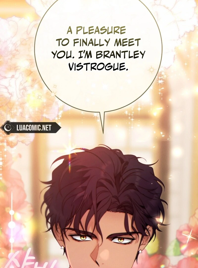 Read This Marriage Will Surely Succeed Manga Online