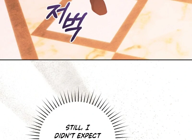 Read This Marriage Will Surely Succeed Manga Online