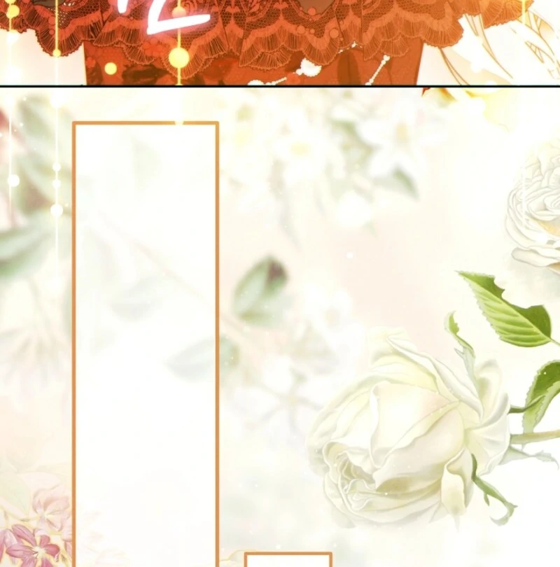 Read This Marriage Will Surely Succeed Manga Online