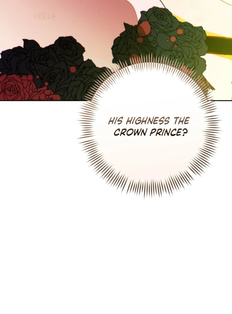 Read This Marriage Will Surely Succeed Manga Online