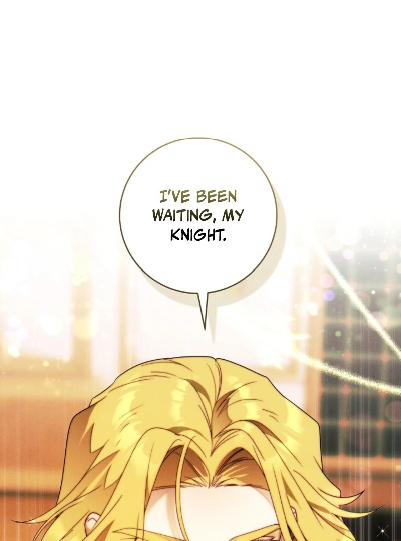 Read This Marriage Will Surely Succeed Manga Online