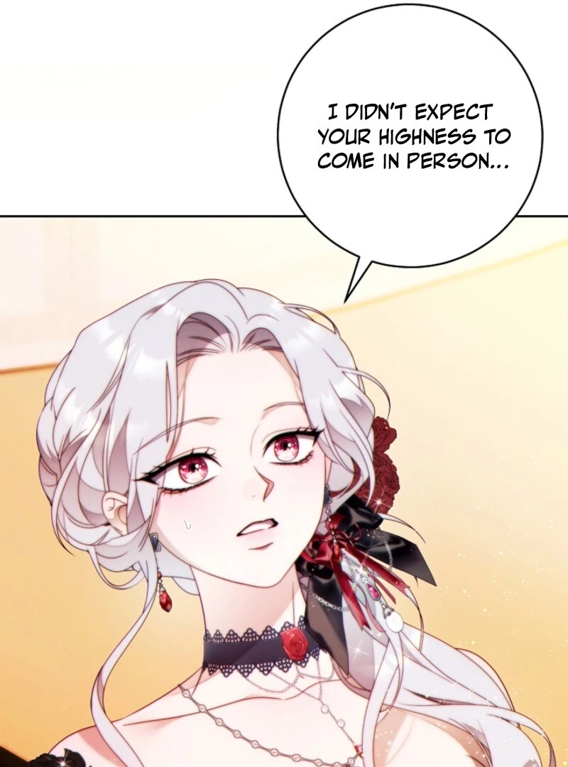 Read This Marriage Will Surely Succeed Manga Online