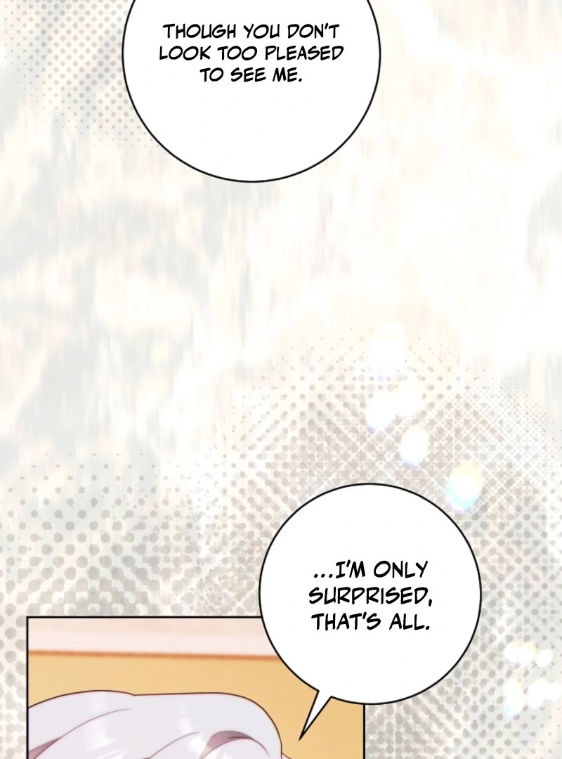 Read This Marriage Will Surely Succeed Manga Online