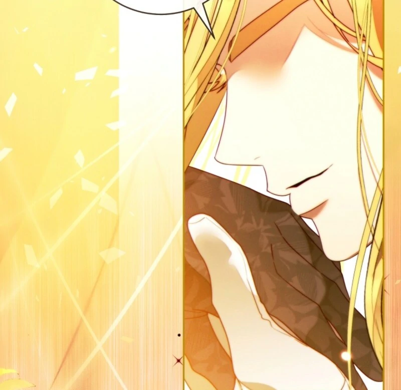 Read This Marriage Will Surely Succeed Manga Online