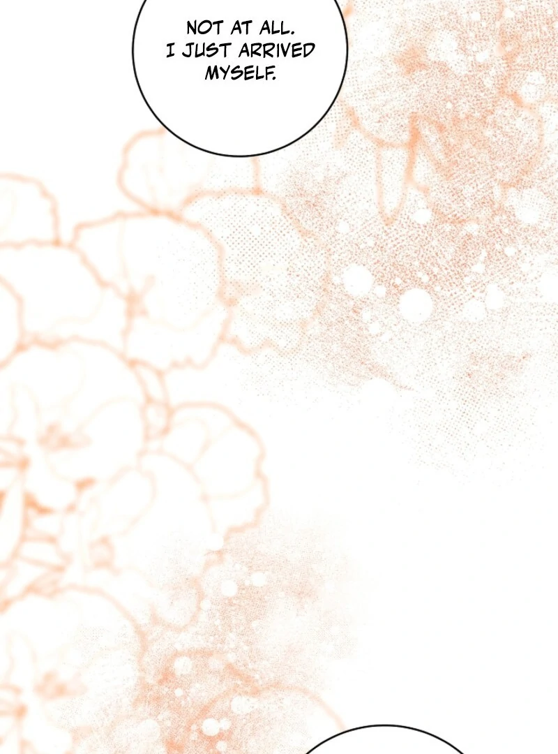 Read This Marriage Will Surely Succeed Manga Online