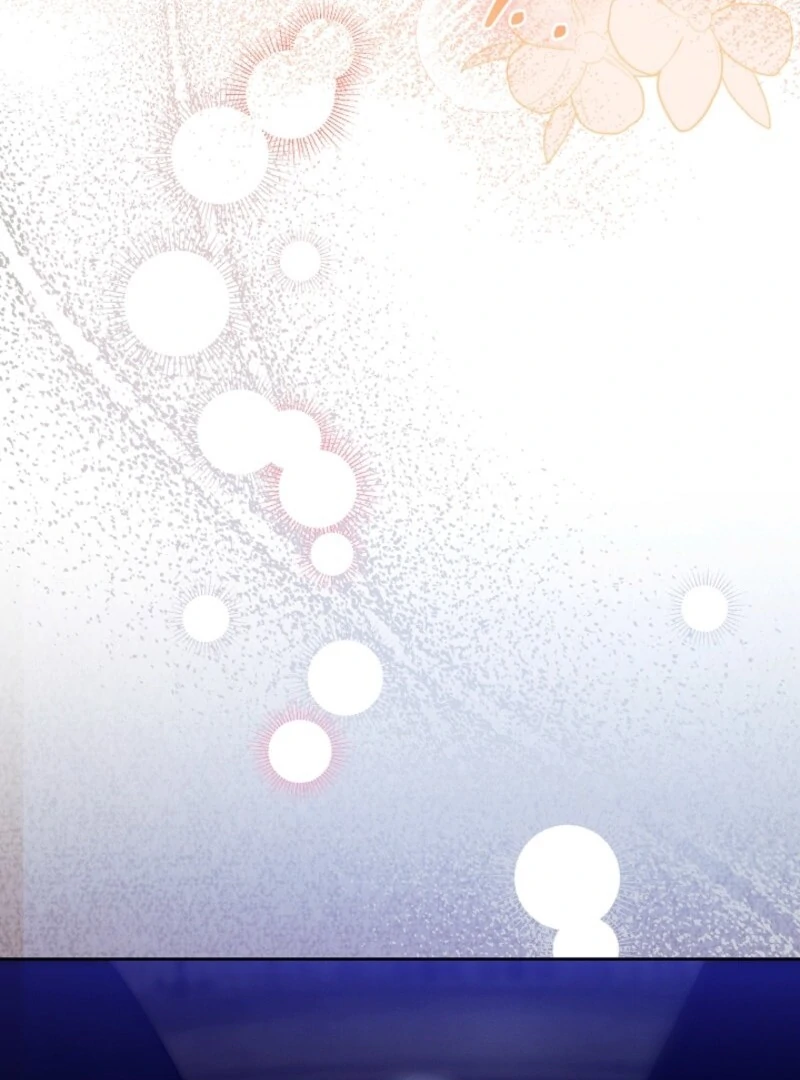 Read This Marriage Will Surely Succeed Manga Online