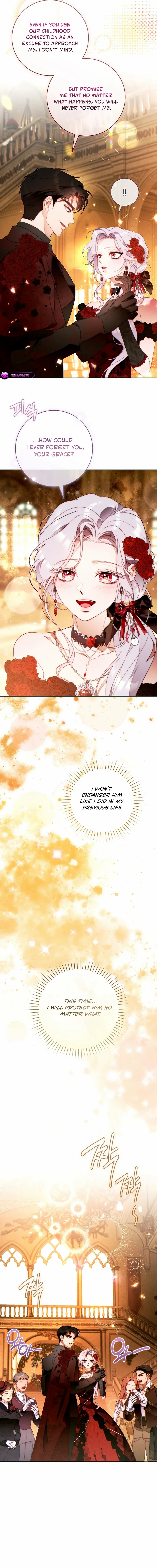 Read This Marriage Will Surely Succeed Manga Online