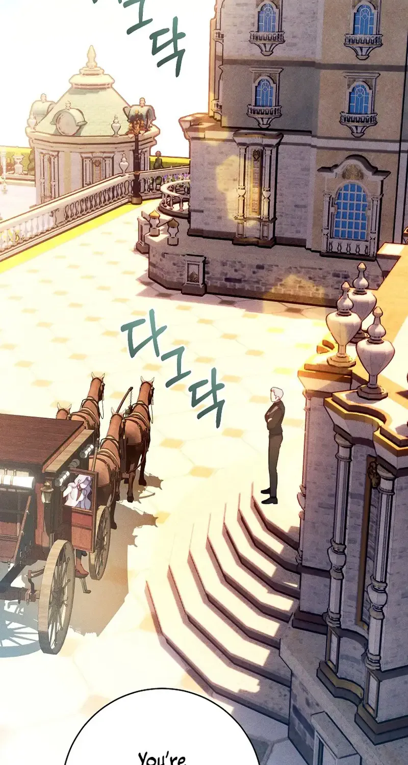 Read This Marriage Will Surely Succeed Manga Online