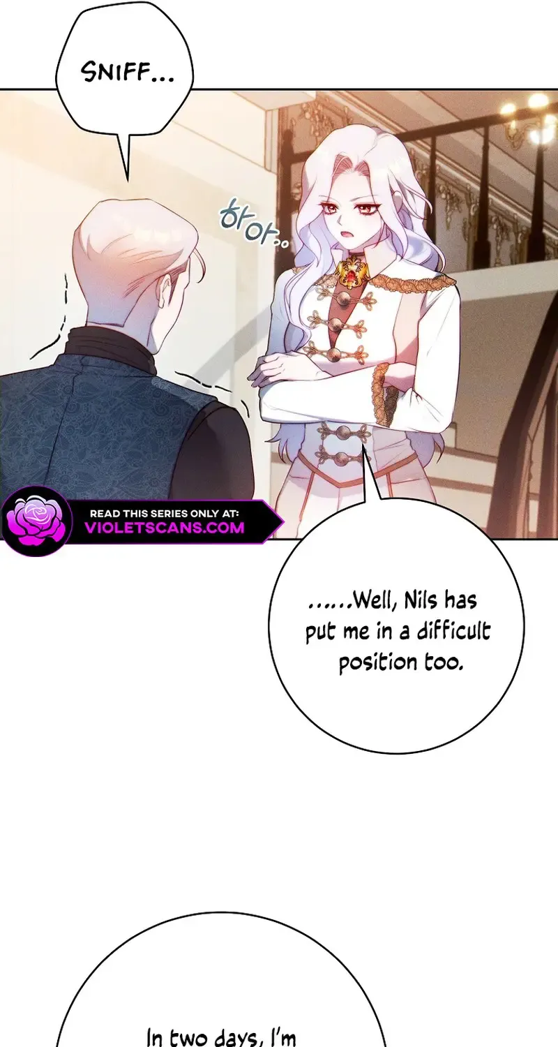 Read This Marriage Will Surely Succeed Manga Online