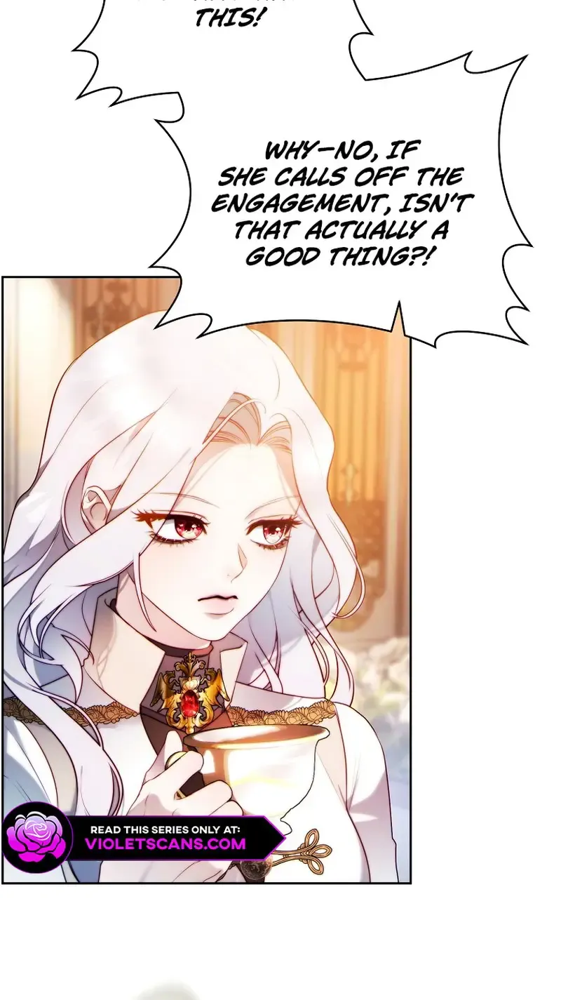 Read This Marriage Will Surely Succeed Manga Online